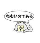 ひげなしにゃんこ（個別スタンプ：7）