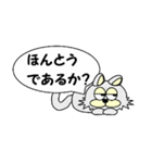 ひげなしにゃんこ（個別スタンプ：12）