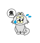 ひげなしにゃんこ（個別スタンプ：23）