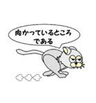 ひげなしにゃんこ（個別スタンプ：36）
