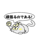 ひげなしにゃんこ（個別スタンプ：40）