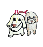 フレブル★まゆげ犬どん⑥（個別スタンプ：19）
