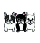 フレブル★まゆげ犬どん⑥（個別スタンプ：39）