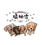 Happy Puppies 4（個別スタンプ：36）