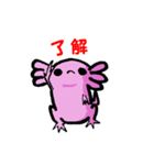 ルーパーせんぱい（個別スタンプ：38）