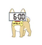 時間お知らせ・デジタル時計犬（個別スタンプ：11）