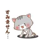 ねこにち4（個別スタンプ：16）