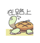 Bread Turtle And Soft Snails（個別スタンプ：17）
