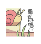 Bread Turtle And Soft Snails（個別スタンプ：31）