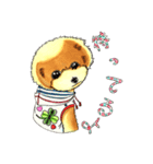 抱きしめたくなる！トイ・プードル翔ちゃん（個別スタンプ：20）