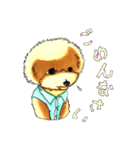 抱きしめたくなる！トイ・プードル翔ちゃん（個別スタンプ：22）