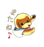 抱きしめたくなる！トイ・プードル翔ちゃん（個別スタンプ：24）