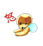抱きしめたくなる！トイ・プードル翔ちゃん（個別スタンプ：25）