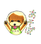 抱きしめたくなる！トイ・プードル翔ちゃん（個別スタンプ：27）