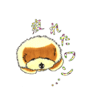 抱きしめたくなる！トイ・プードル翔ちゃん（個別スタンプ：31）