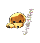 抱きしめたくなる！トイ・プードル翔ちゃん（個別スタンプ：36）