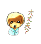 抱きしめたくなる！トイ・プードル翔ちゃん（個別スタンプ：39）
