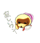 抱きしめたくなる！トイ・プードル翔ちゃん（個別スタンプ：40）