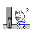 Daily conversation of the French Bulldog（個別スタンプ：13）