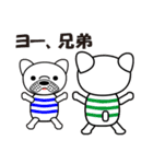 Daily conversation of the French Bulldog（個別スタンプ：14）