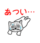 あまり表情を出さない猫（個別スタンプ：31）