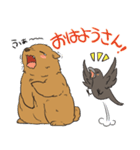 クマとカラス（個別スタンプ：1）