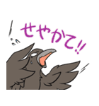 クマとカラス（個別スタンプ：3）