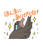 クマとカラス（個別スタンプ：8）