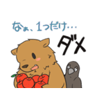 クマとカラス（個別スタンプ：24）