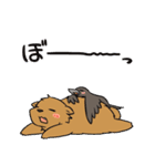 クマとカラス（個別スタンプ：26）