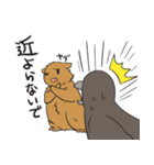 クマとカラス（個別スタンプ：31）
