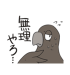 クマとカラス（個別スタンプ：35）