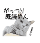 関西弁リアル猫3（個別スタンプ：7）