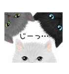 白猫と黒猫と灰猫と（個別スタンプ：8）