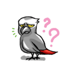 Angry Parrot（個別スタンプ：28）