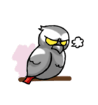 Angry Parrot（個別スタンプ：34）