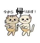 Hawaiian cats LOCO＆MOCO（個別スタンプ：12）