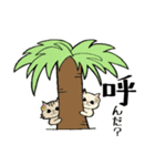 Hawaiian cats LOCO＆MOCO（個別スタンプ：29）