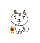 Shiba pi pi with chu chu（個別スタンプ：13）