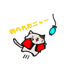 ドルヲタにゃんこの日常（個別スタンプ：16）