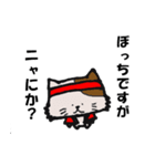 ドルヲタにゃんこの日常（個別スタンプ：22）