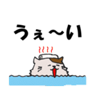ドルヲタにゃんこの日常（個別スタンプ：31）