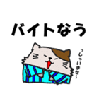 ドルヲタにゃんこの日常（個別スタンプ：37）