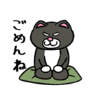 ねこたぬの絵日記（個別スタンプ：7）