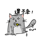 Puff ＆ Michan Cat（個別スタンプ：16）