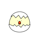 まるっこいトリ（個別スタンプ：34）