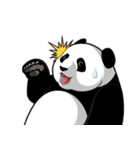 Panda★san（個別スタンプ：17）