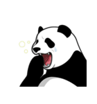 Panda★san（個別スタンプ：21）