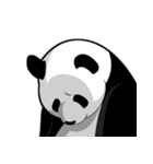 Panda★san（個別スタンプ：22）