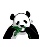 Panda★san（個別スタンプ：26）